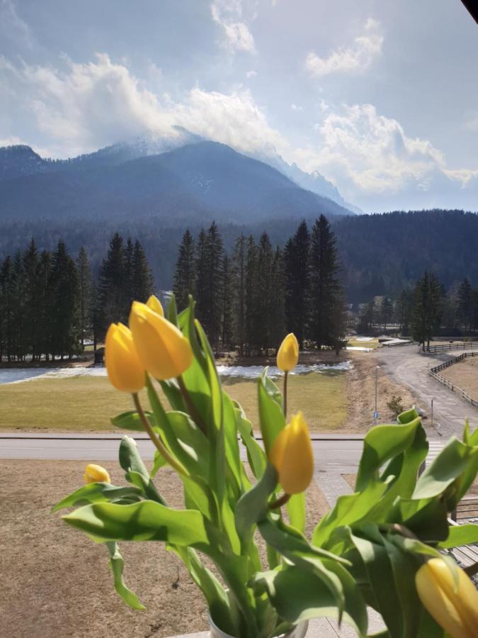 Apartma Kurji Vrh - Chicken Top Kranjska Gora Extérieur photo