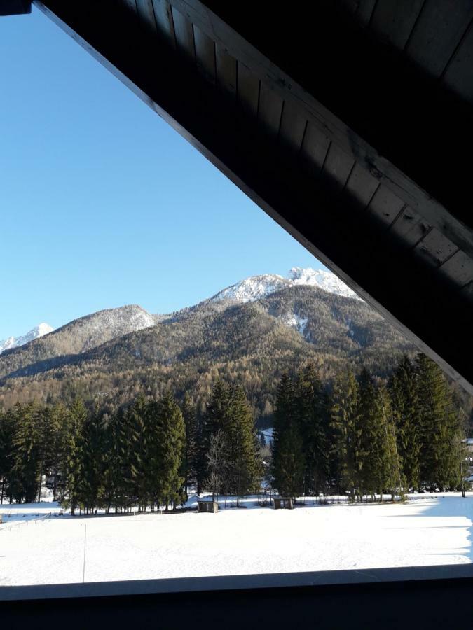 Apartma Kurji Vrh - Chicken Top Kranjska Gora Extérieur photo