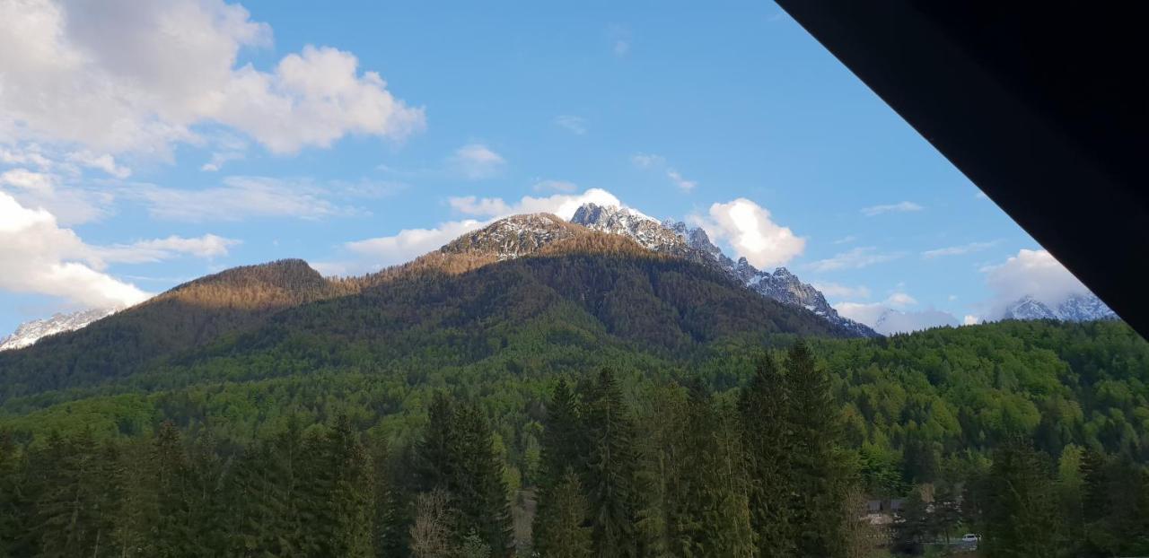 Apartma Kurji Vrh - Chicken Top Kranjska Gora Extérieur photo